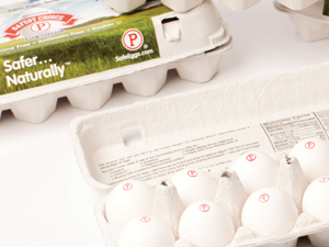 National Pasteurized Eggs